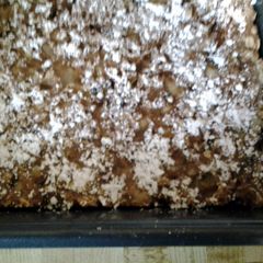 A picture of Banana Oatmeal Cookie.