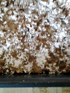 A picture of Banana Oatmeal Cookie.