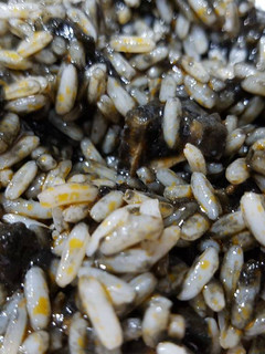 Una foto de Arroz con Calamares en su tinta rapidísimo!!😋