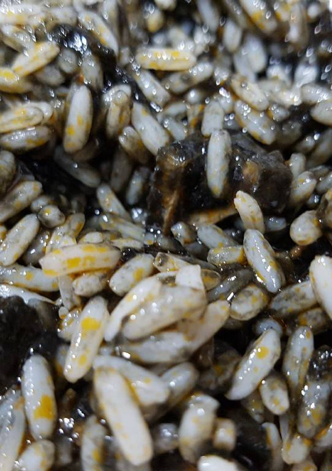 Una foto de Arroz con Calamares en su tinta rapidísimo!!😋