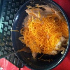 A picture of cheesy Alfredo.