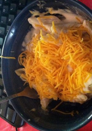 A picture of cheesy Alfredo.