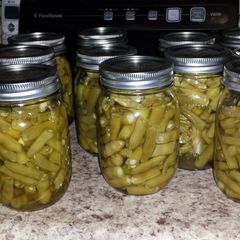 A picture of Canned Green Beans.