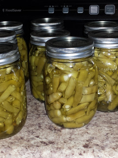 A picture of Canned Green Beans.