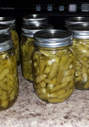 A picture of Canned Green Beans.