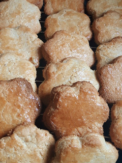 Una foto de Galletitas de coco