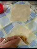 Masa wonton