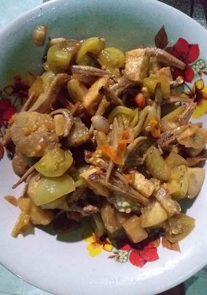 Foto resep Oseng 4T Tomat ijo Terong Tahu Teri