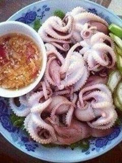 Hình của món Bạch tuộc hấp.