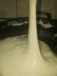Foto resep Mozzarella Homemade