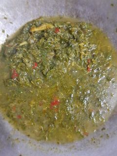 Gambar Sayur Pucuk Ubi Kayu Tumis