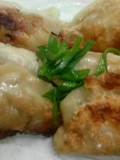 Foto resep Gyoza (japanese dumpling)