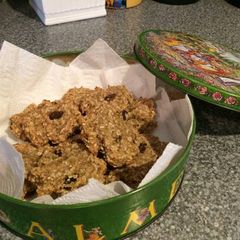 A picture of 2 Ingredient Banana Cookies.