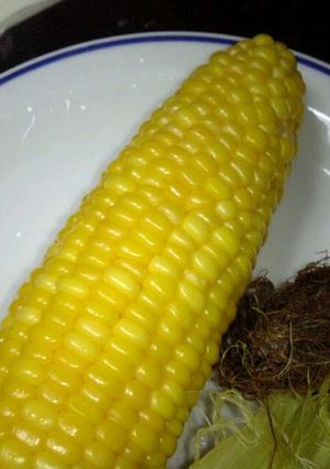 A picture of Easy, Sweet and Yummy! How to Boil Corn on the Cob.