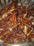 Belalang goreng krispy