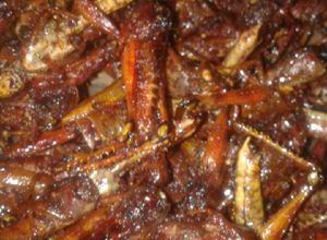 Foto resep Belalang goreng krispy