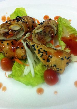 A picture of Kanya 's Spring Rolls.