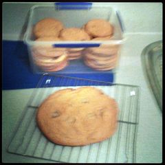 A picture of chocolate chip cookies.