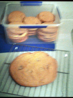 A picture of chocolate chip cookies.
