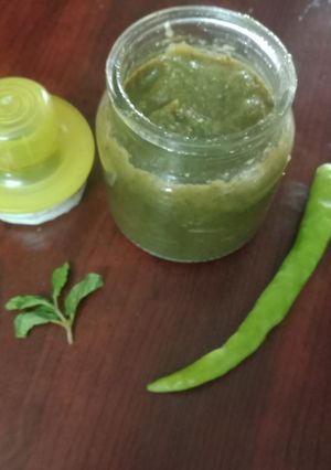 A picture of Pudina chutney.