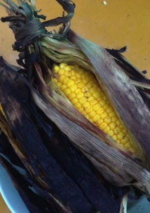 A picture of BBQ Corn on the Cob with Husks.