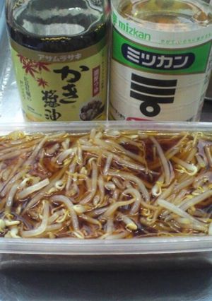 A picture of Ultra-Cheap Bean Sprout Diet.