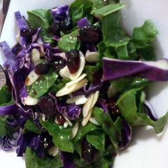 A picture of Jeweled Salad.