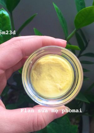 Hình của món Flan sữa mẹ phomai.