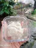 H20. Bubur Tuna, Labu Siam, Buncis dan Santan (6 month+)