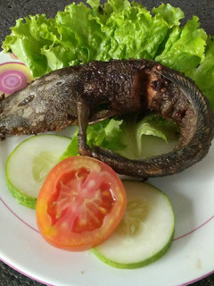 Foto resep Lele Goreng