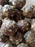 Vickys No-Bake Oat Energy Bombs, GF DF EF SF NF