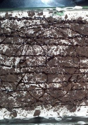 A picture of Q-tip's grasshopper ice cream cake.