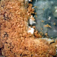 A picture of cheesy ritz baked haddock.