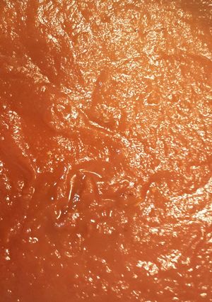 A picture of Spicy Mexican Enchilada sauce..