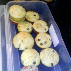 A picture of Chocolate Chip Muffins (No milk).