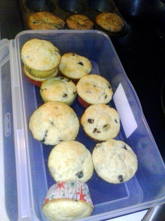 A picture of Chocolate Chip Muffins (No milk).