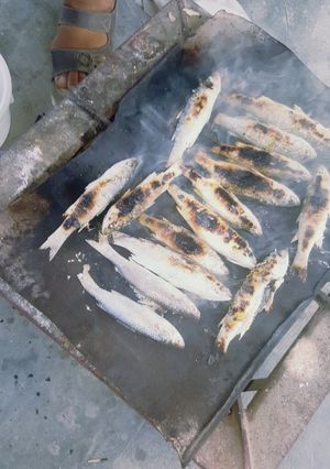عکسی از دستور ماهی برشته😋😋