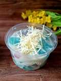 Salad Jelly Simple