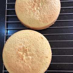 รูปของ Sponge Cake Dasar (tanpa SP/Ovalet)
