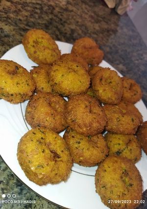 عکسی از دستور فلافل ویییژه