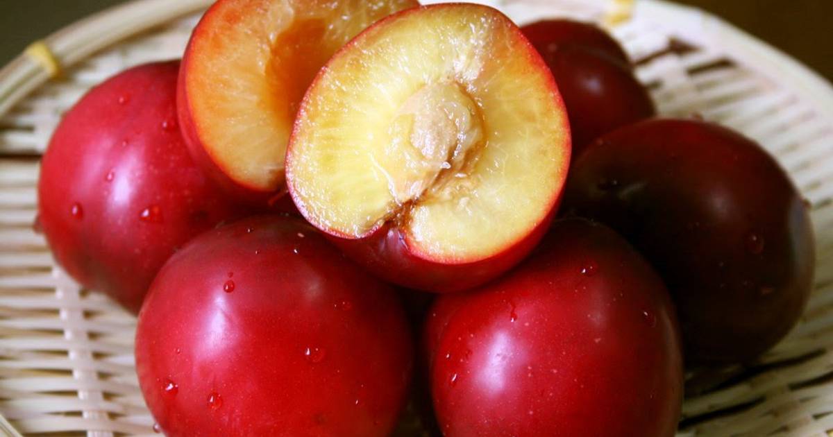 How to Easily Remove Peach, Plum, or Apricot Pits Recipe by cookpad.japan Cookpad