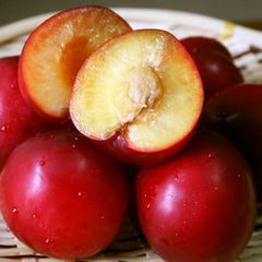 A picture of How to Easily Remove Peach, Plum, or Apricot Pits.