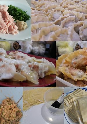 Foto resep Gyoza Basah dan Goreng