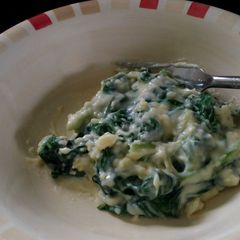 A picture of spinach in bechamel sauce.