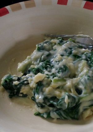 A picture of spinach in bechamel sauce.