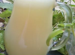 Une photo de Citronade bio facon tunisienne 🍋