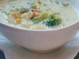 broccoli macaroni soup