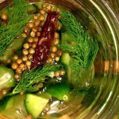 A picture of Quick Pickle (Cucumber).