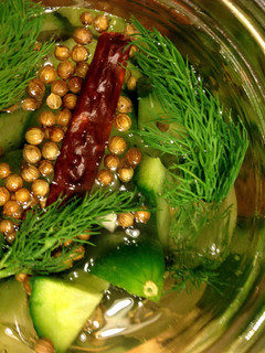 A picture of Quick Pickle (Cucumber).