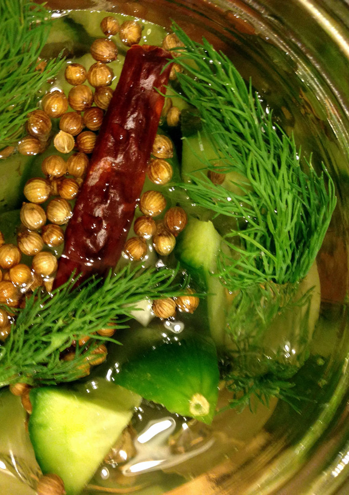 A picture of Quick Pickle (Cucumber).
